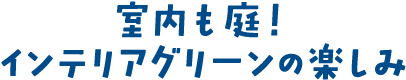 室内も庭！インテリアグリーンの楽しみ