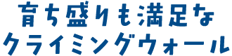 育ち盛りも満足なクライミングウォール