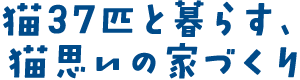 猫37匹と暮らす、猫思いの家づくり