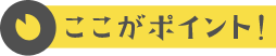 ここがポイント！